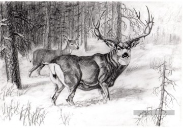  cerf Tableaux - dessin au crayon cerf Noire et blanche